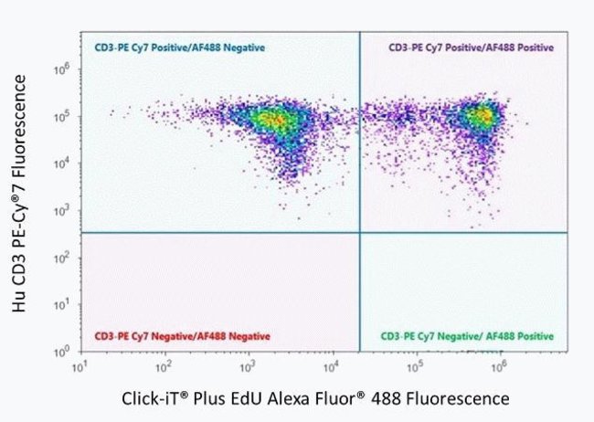 Dual parameter plot of Click-iT® Plus EdU  Alexa Fluor® 488 Flow Cytometry Assay Kit and Hu CD3 PE-Cy®7 Fluorescence.